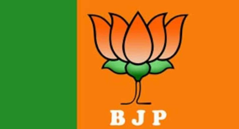 BJP New President: लोकसभा नतीजों के बाद भाजपा में होगा बड़ा फेरबदल, जानिए कौन संभालेगा पार्टी की कमान