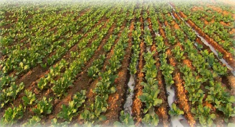 agricultural sector में क्रांति लाने के लिए आज से शुरू होगी परिवर्तनकारी पहलों की श्रृंखला