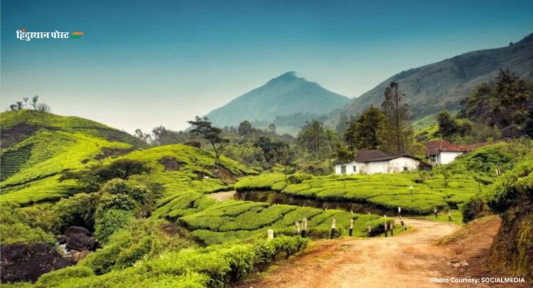 Munnar Resorts: आपका भी मुन्नार जाने का प्लान है तो इन रिसॉर्ट्स पर एक बार जरूर डालें नजर