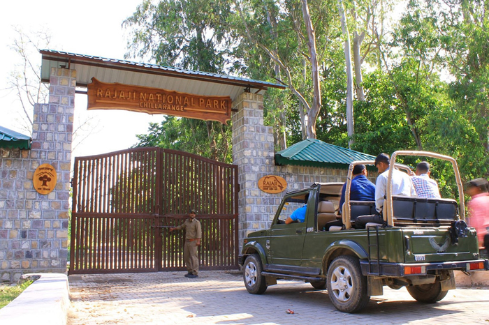Rajaji National Park : राजाजी राष्ट्रीय उद्यान के लिए यात्रा गाइड