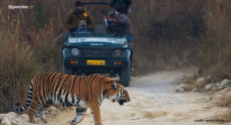 Jim Corbett National Park: जानें जिम कॉर्बेट नेशनल पार्क को क्यों कहते हैं बाघो साम्राज्य की ऐतिहासिक राजधानी