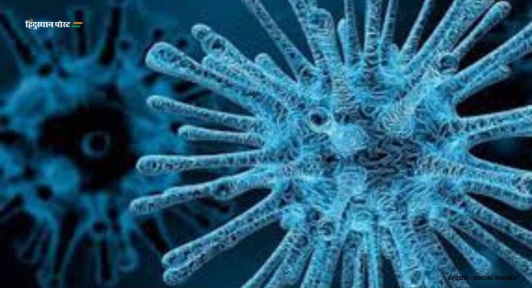 Chandipura virus: गुजरात में चांदीपुरा वायरस का प्रकोप, संक्रमण के बारे में जानें यह बात
