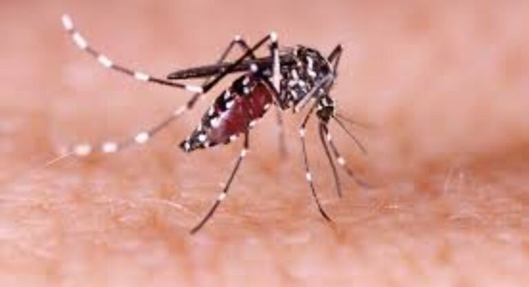 Zika Virus: पुणे वासियों की बढ़ रही चिंता, शहर में जीका वायरस के आ रहे नए मामले