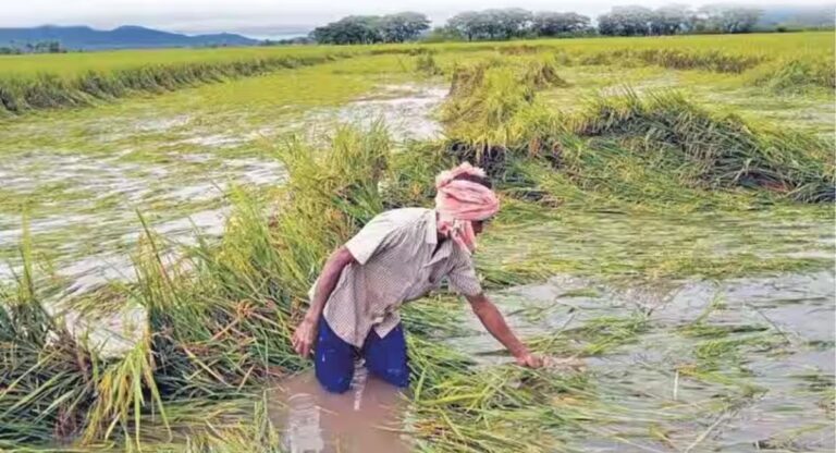 Chhattisgarh News: किसान अब 16 अगस्त तक करा सकेंगे फसल बीमा, केंद्र ने दी सहमति