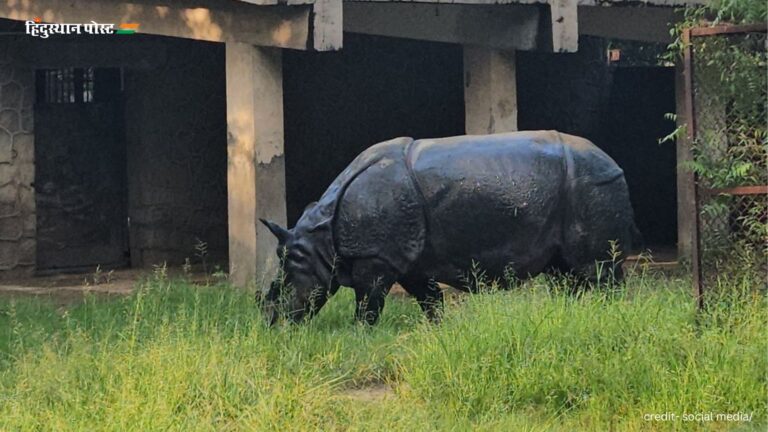 National Zoological Park: राजधानी की हलचल के बीच वन्यजीवों का अभयारण्य है दिल्ली में राष्ट्रीय प्राणी उद्यान