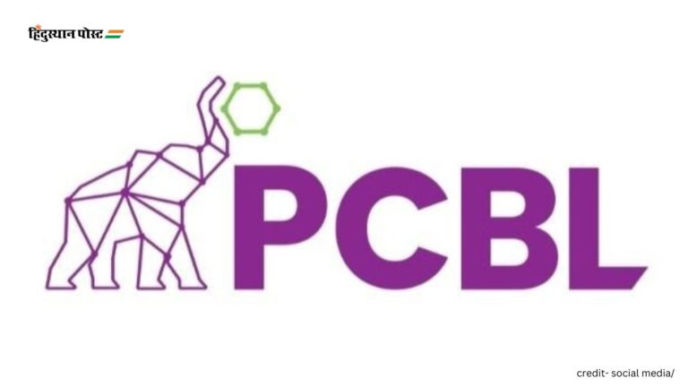 PCBL share price: तीसरी तिमाही के निराशाजनक नतीजों के बाद पीसीबीएल के शेयरों में 11% की गिरावट