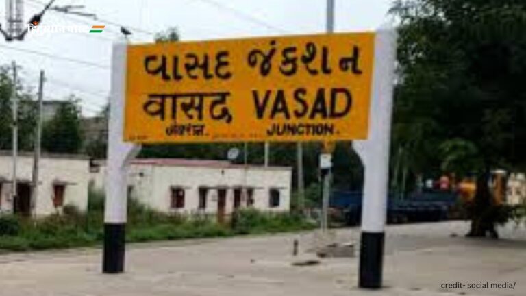 Vasad: वासद को क्यों कहते हैं मूंगफली की राजधानी? जानने के लिए पढ़ें