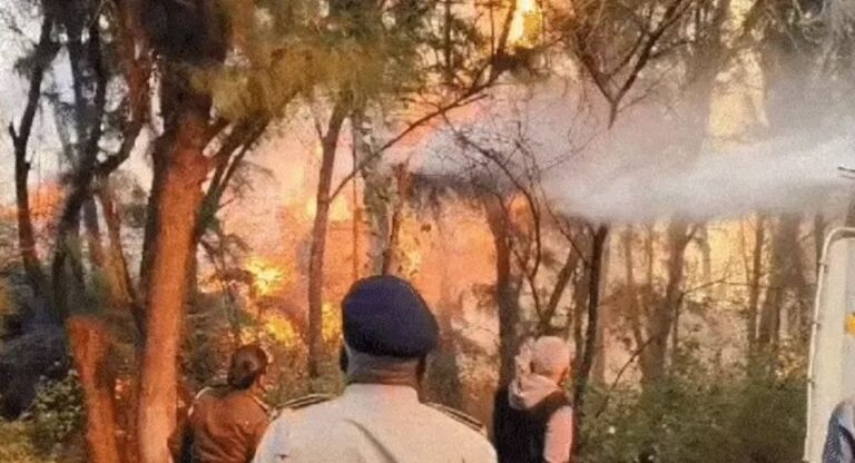 Fire: पोरबंदर के पास जूरी जंगल में भीषण आग, पोरबंदर-सोमनाथ तटीय राजमार्ग बंद