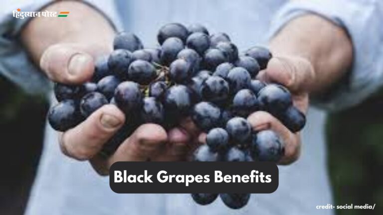 Black Grapes benefits​: काले अंगूर के क्या हैं स्वास्थ्य लाभ? जानने के लिए पढ़ें