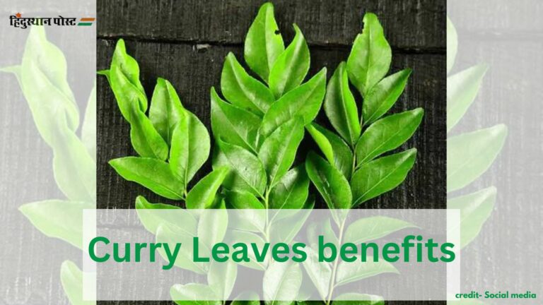 Curry Leaves benefits​: रोजाना करी पत्ता के क्या हैं लाभ? यहां पढ़ें