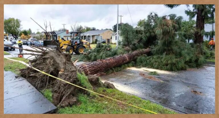 Storm In America: अमेरिका में तूफान ने मचाई भारी तबाही, 27 लोगों की मौत